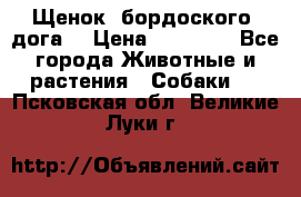 Щенок  бордоского  дога. › Цена ­ 60 000 - Все города Животные и растения » Собаки   . Псковская обл.,Великие Луки г.